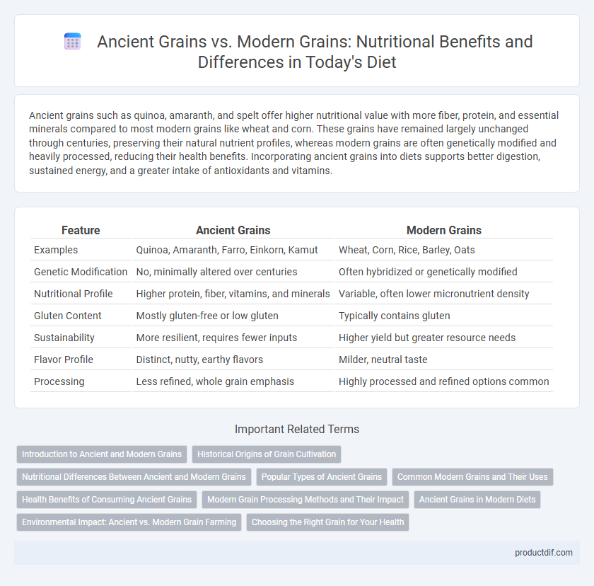 Ancient Grains vs. Modern Grains: Nutritional Benefits and Differences in Today's Diet