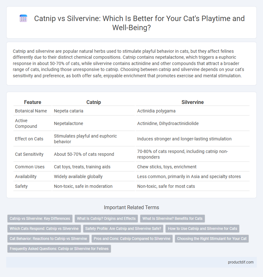 Catnip vs Silvervine: Which Is Better for Your Cat's Playtime and Well-Being?