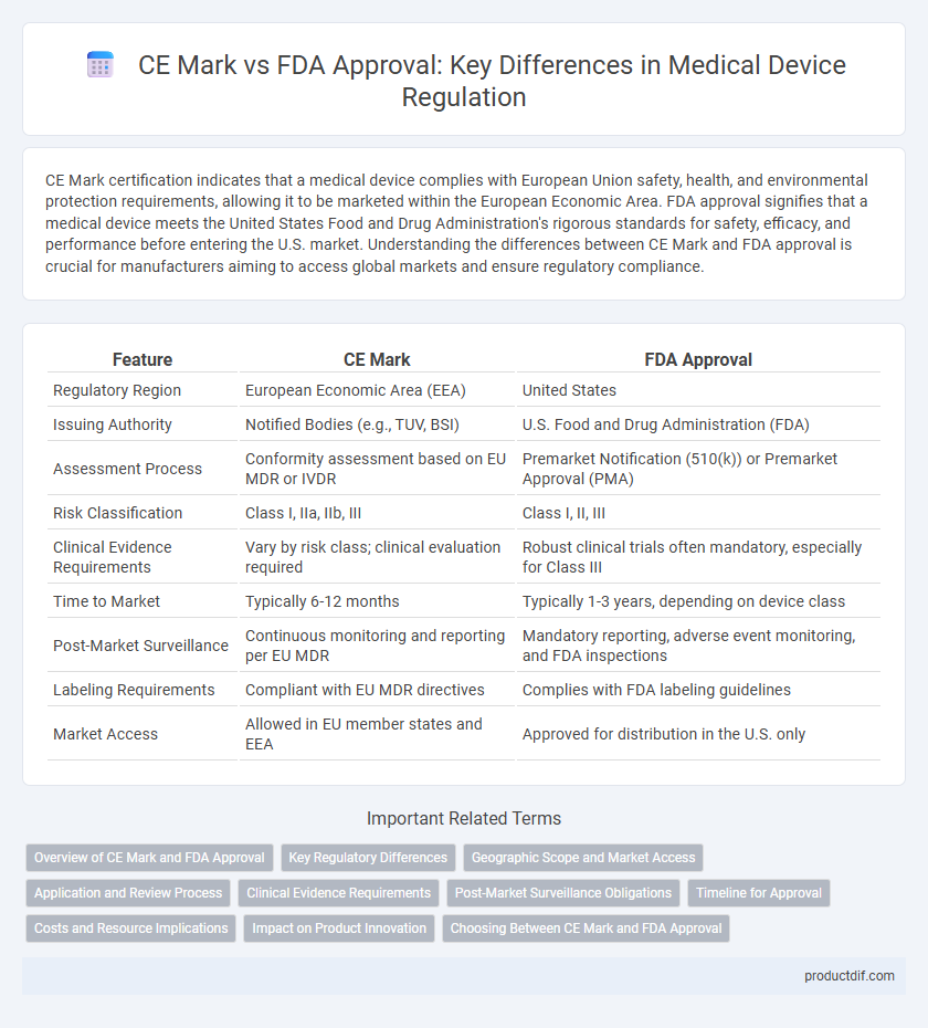 CE Mark vs FDA Approval: Key Differences in Medical Device Regulation