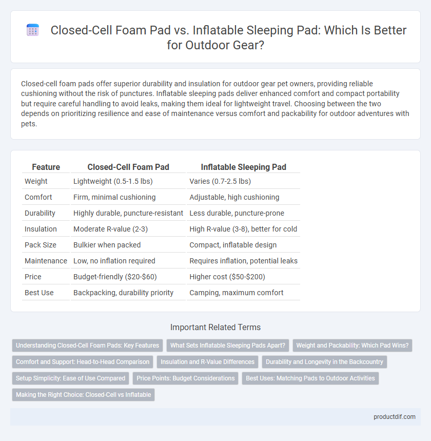 Closed-Cell Foam Pad vs. Inflatable Sleeping Pad: Which Is Better for Outdoor Gear?