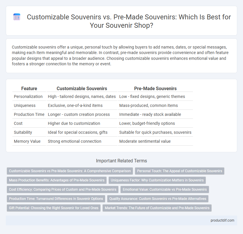 Customizable Souvenirs vs. Pre-Made Souvenirs: Which Is Best for Your Souvenir Shop?