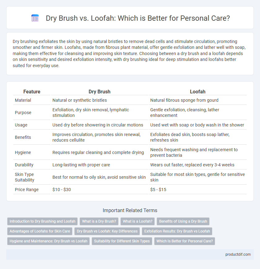 Dry Brush vs. Loofah: Which is Better for Personal Care?
