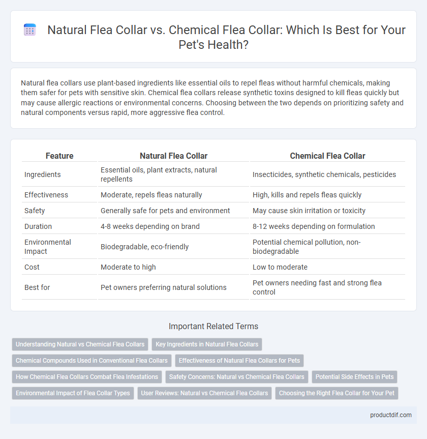 Natural Flea Collar vs. Chemical Flea Collar: Which Is Best for Your Pet's Health?