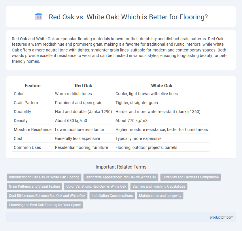 Red Oak vs. White Oak: Which is Better for Flooring?