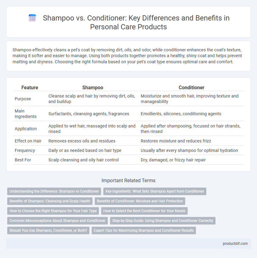 Shampoo vs. Conditioner: Key Differences and Benefits in Personal Care Products
