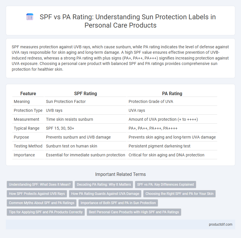SPF vs PA Rating: Understanding Sun Protection Labels in Personal Care Products
