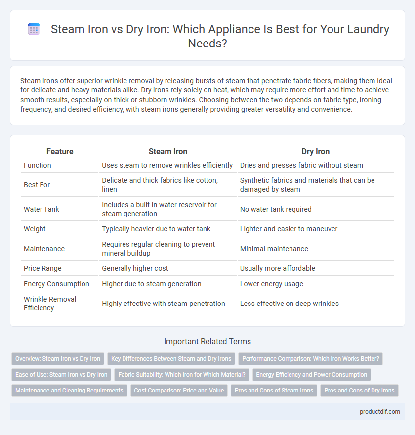 Steam Iron vs Dry Iron: Which Appliance Is Best for Your Laundry Needs?