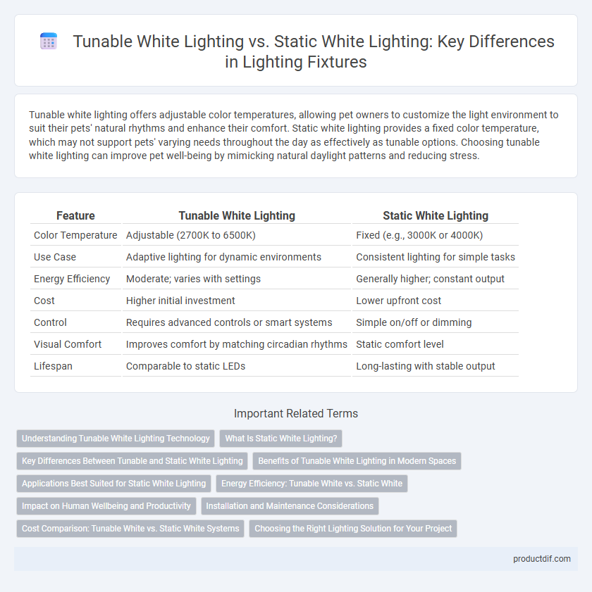 Tunable White Lighting vs. Static White Lighting: Key Differences in Lighting Fixtures