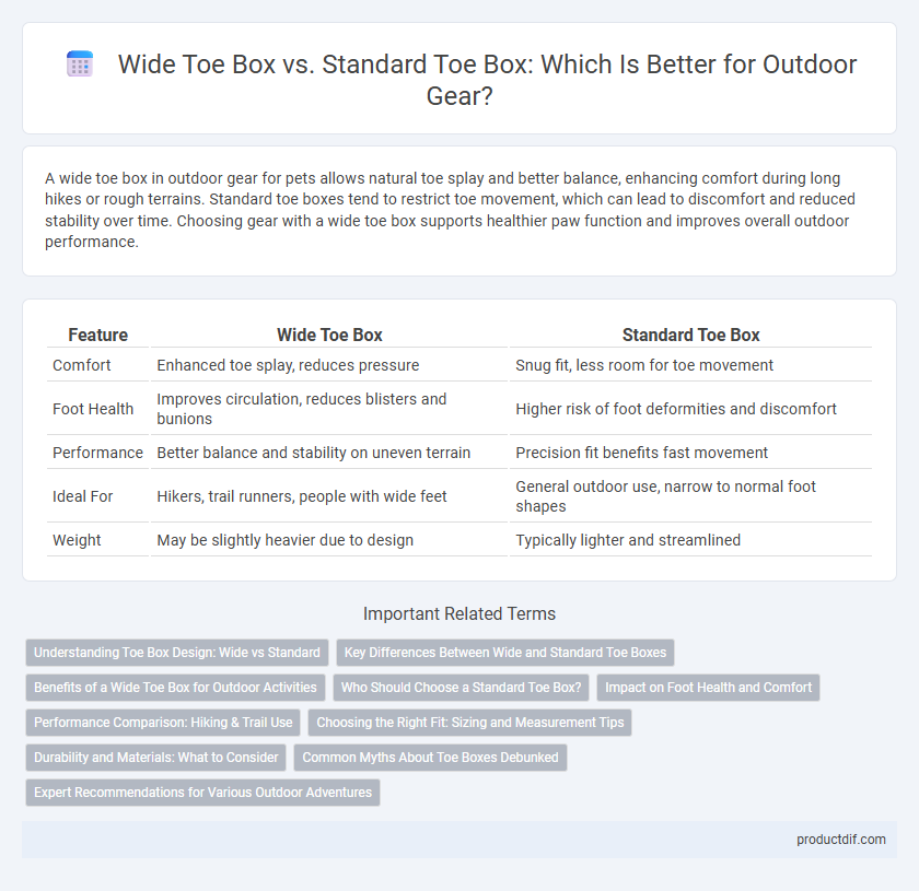 Wide Toe Box vs. Standard Toe Box: Which Is Better for Outdoor Gear?