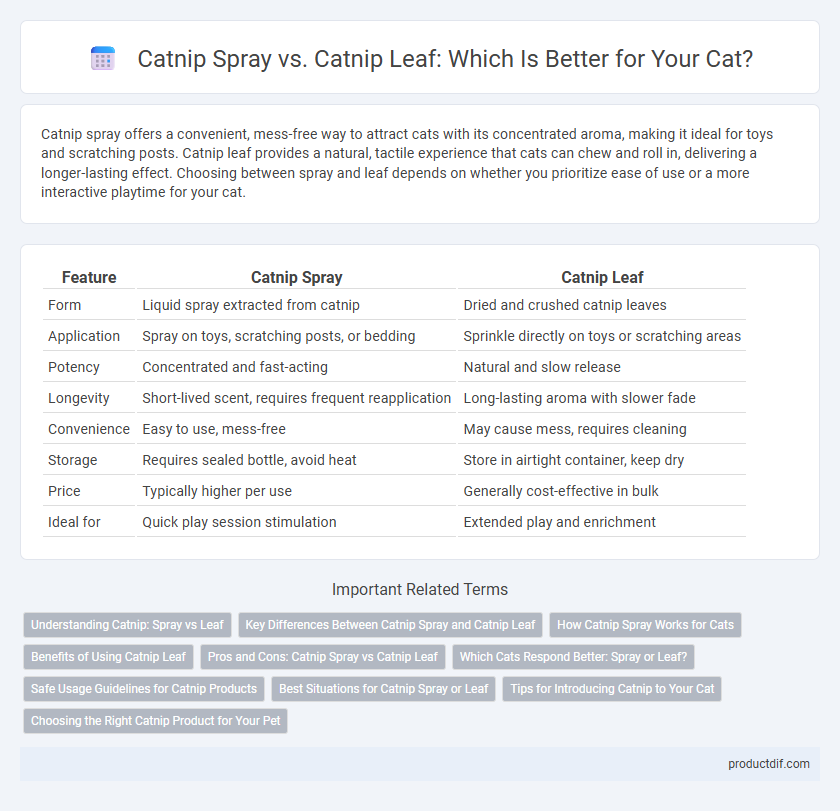 Catnip Spray vs. Catnip Leaf: Which Is Better for Your Cat?