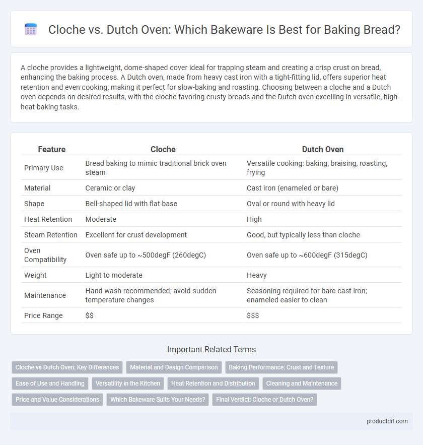 Cloche vs. Dutch Oven: Which Bakeware Is Best for Baking Bread?