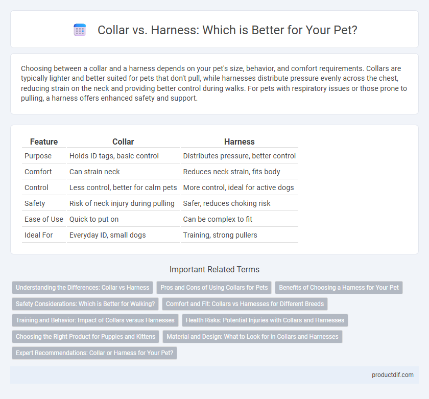 Collar vs. Harness: Which is Better for Your Pet?