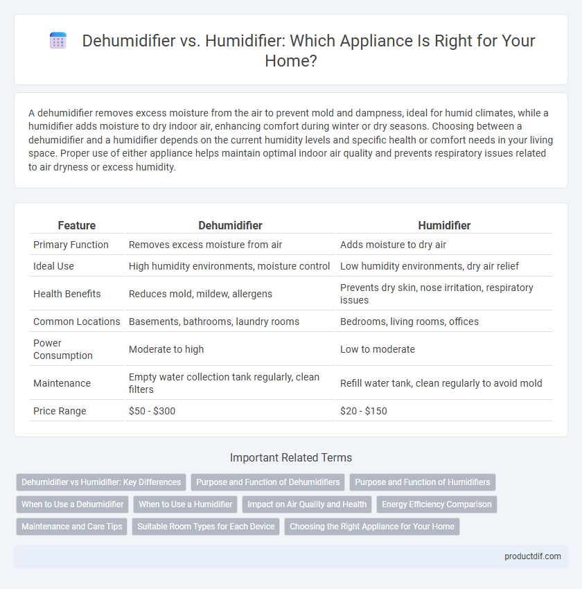 Dehumidifier vs. Humidifier: Which Appliance Is Right for Your Home?