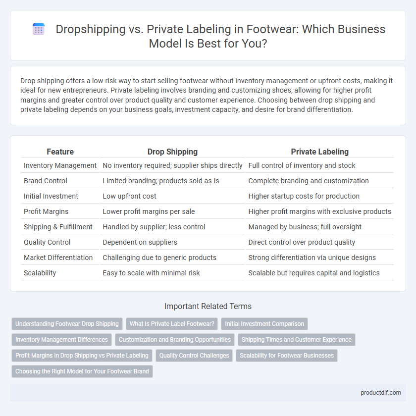 Dropshipping vs. Private Labeling in Footwear: Which Business Model Is Best for You?