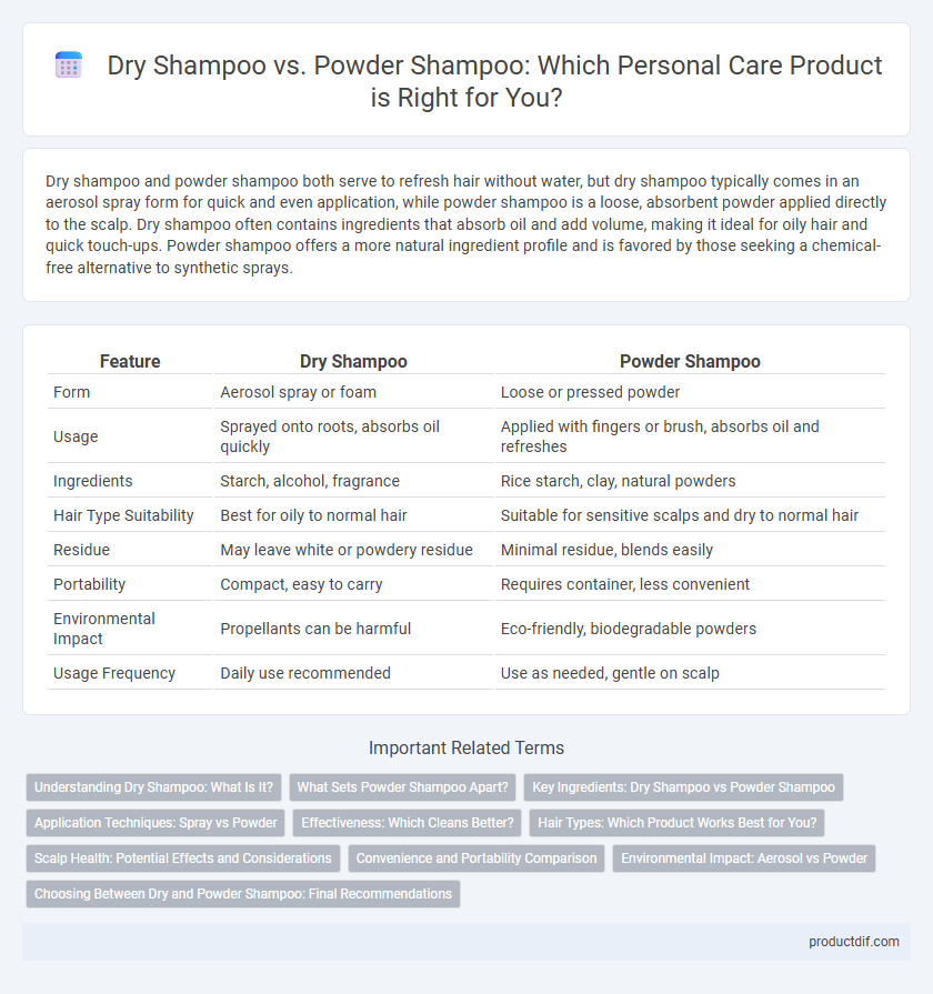 Dry Shampoo vs. Powder Shampoo: Which Personal Care Product is Right for You?