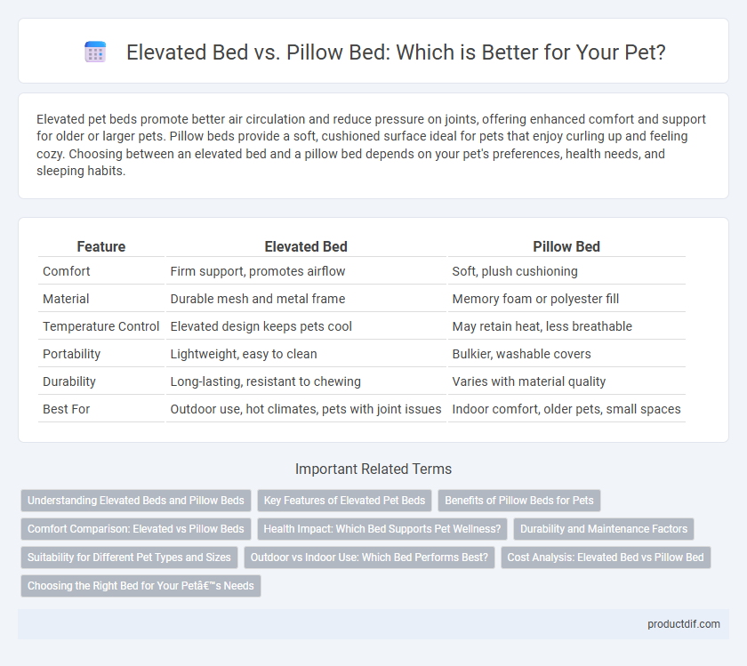 Elevated Bed vs. Pillow Bed: Which is Better for Your Pet?