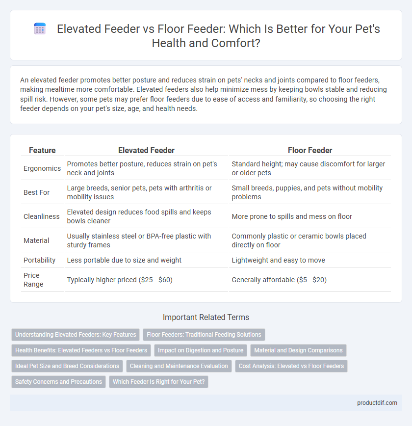 Elevated Feeder vs Floor Feeder: Which Is Better for Your Pet's Health and Comfort?