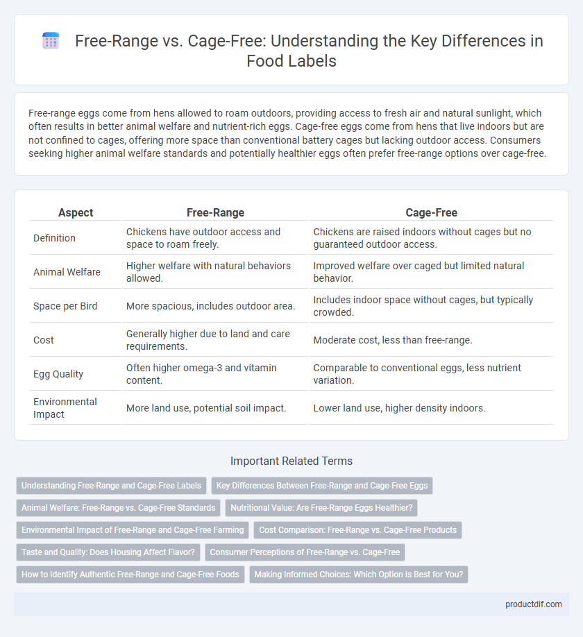 Free-Range vs. Cage-Free: Understanding the Key Differences in Food Labels