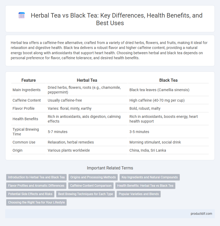 Herbal Tea vs Black Tea: Key Differences, Health Benefits, and Best Uses