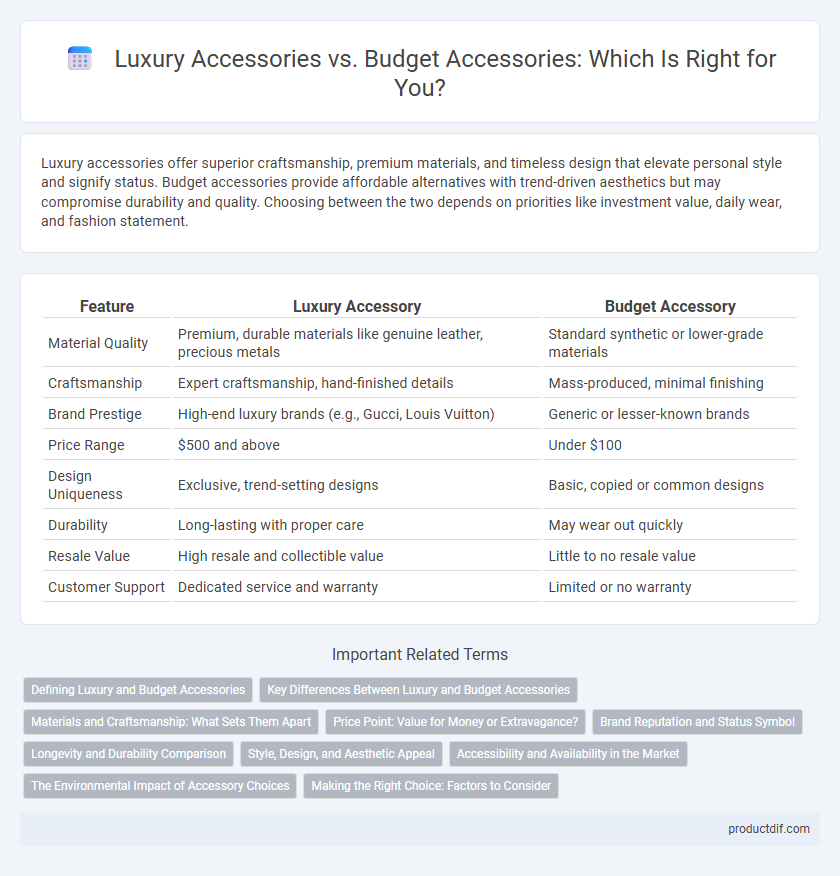 Luxury Accessories vs. Budget Accessories: Which Is Right for You?
