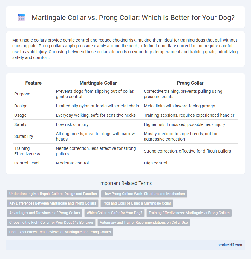 Martingale Collar vs. Prong Collar: Which is Better for Your Dog?