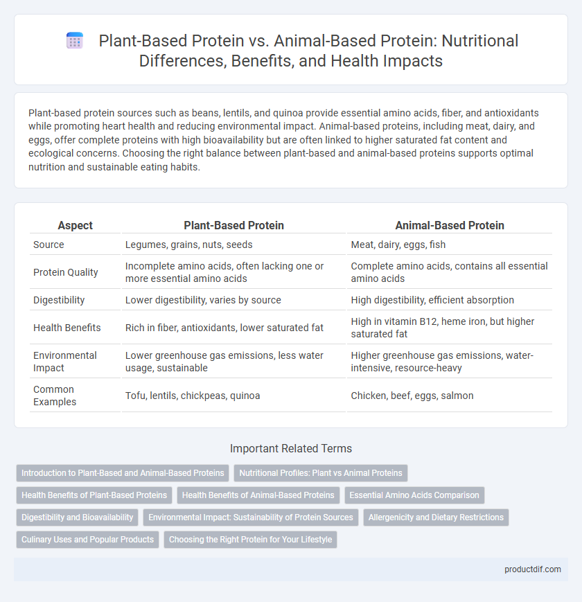 Plant-Based Protein vs. Animal-Based Protein: Nutritional Differences, Benefits, and Health Impacts