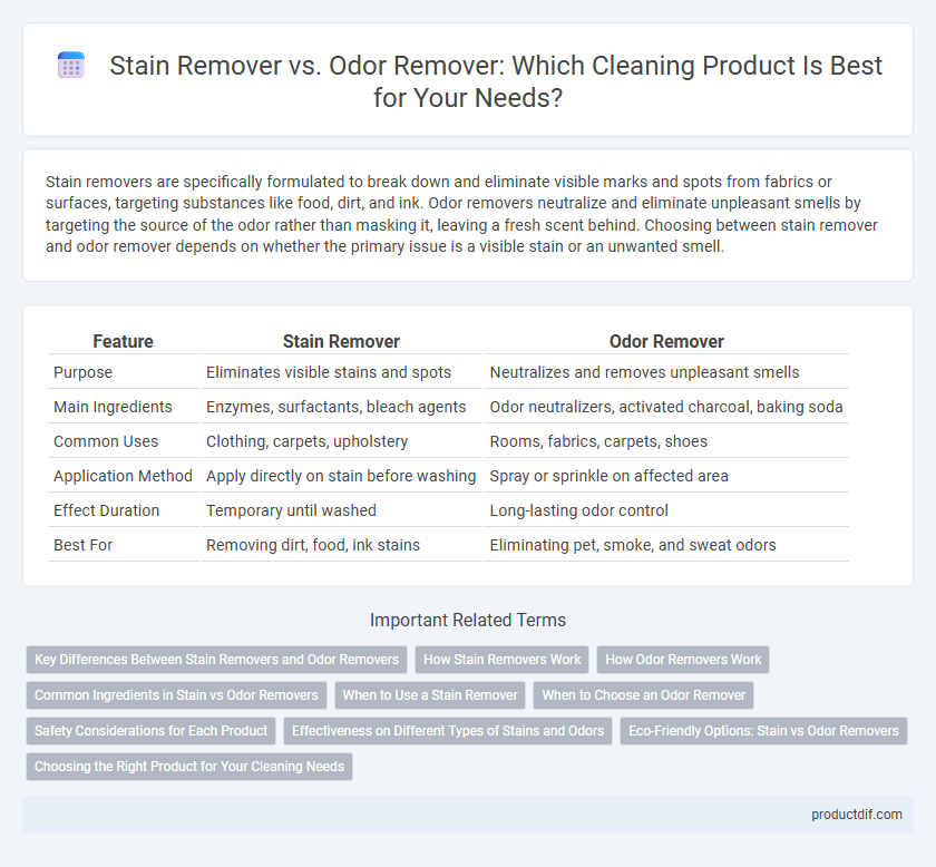 Stain Remover vs. Odor Remover: Which Cleaning Product Is Best for Your Needs?