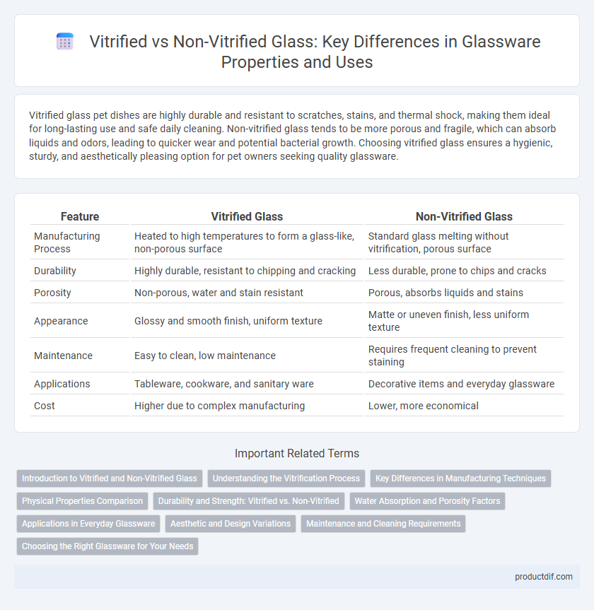 Vitrified vs Non-Vitrified Glass: Key Differences in Glassware Properties and Uses