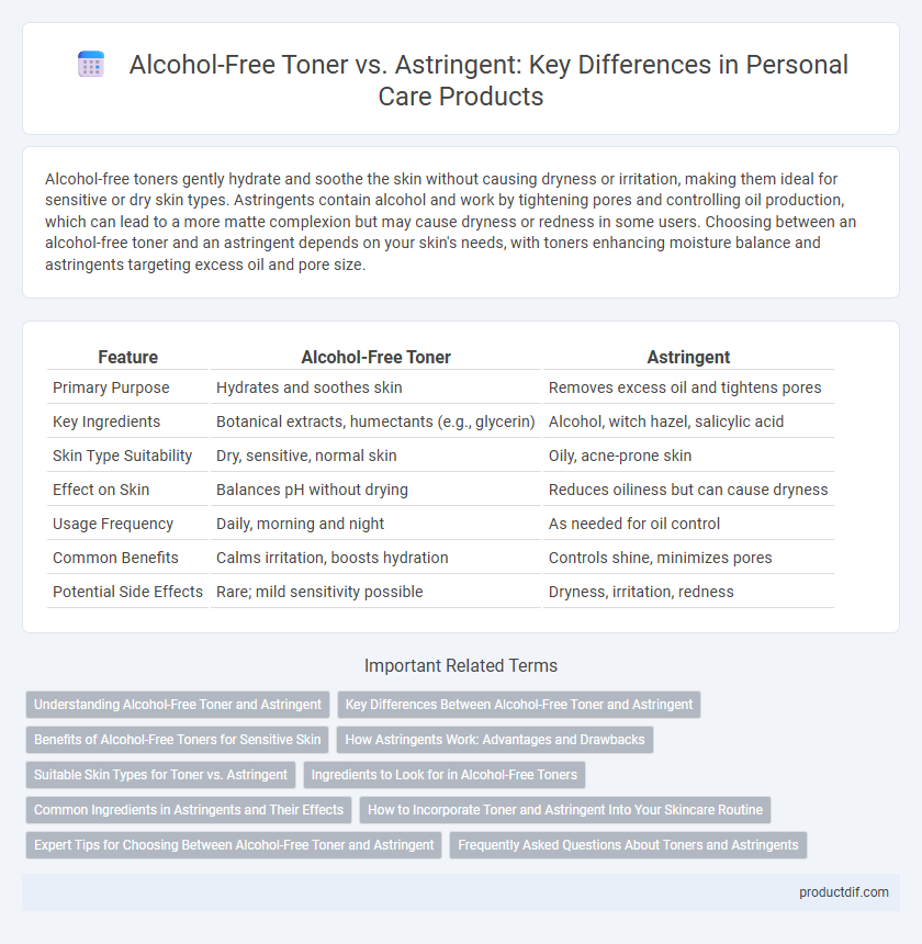 Alcohol-Free Toner vs. Astringent: Key Differences in Personal Care Products