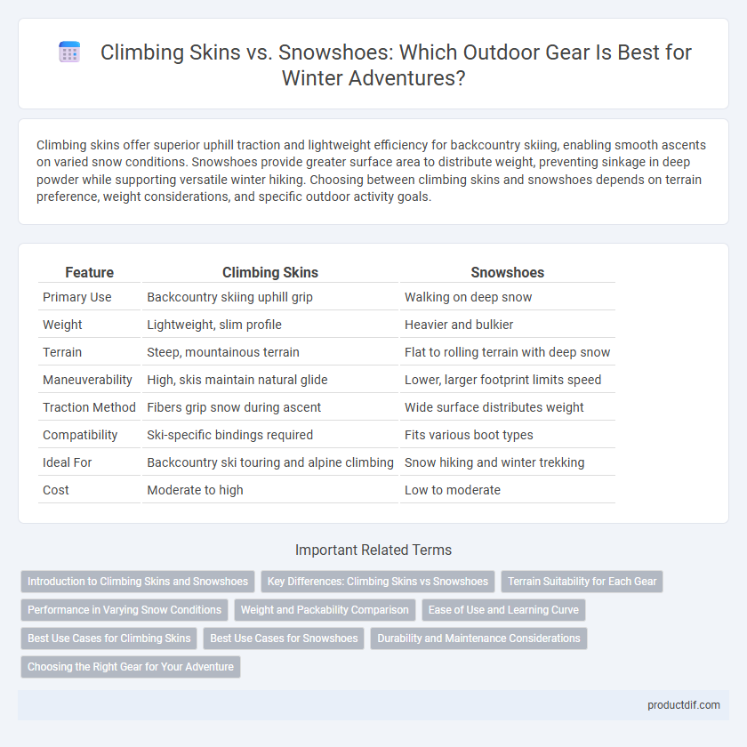 Climbing Skins vs. Snowshoes: Which Outdoor Gear Is Best for Winter Adventures?