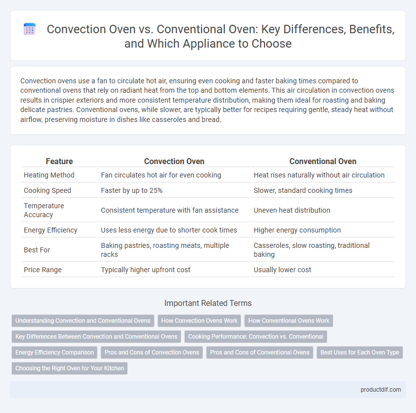 Convection Oven vs. Conventional Oven: Key Differences, Benefits, and Which Appliance to Choose