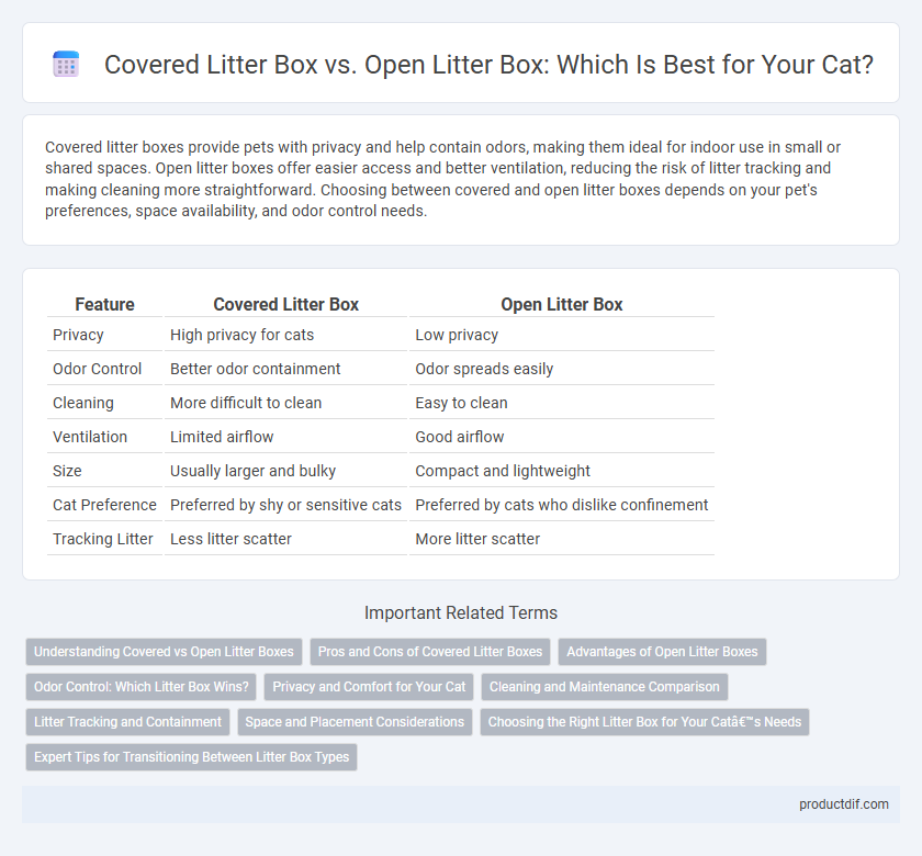 Covered Litter Box vs. Open Litter Box: Which Is Best for Your Cat?