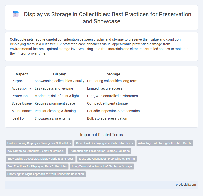 Display vs Storage in Collectibles: Best Practices for Preservation and Showcase