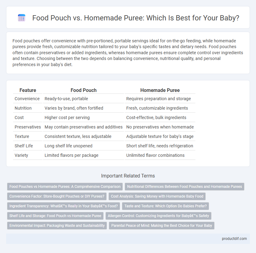 Food Pouch vs. Homemade Puree: Which Is Best for Your Baby?