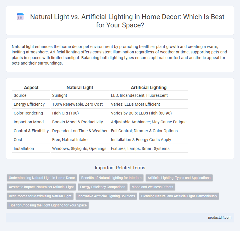 Natural Light vs. Artificial Lighting in Home Decor: Which Is Best for Your Space?
