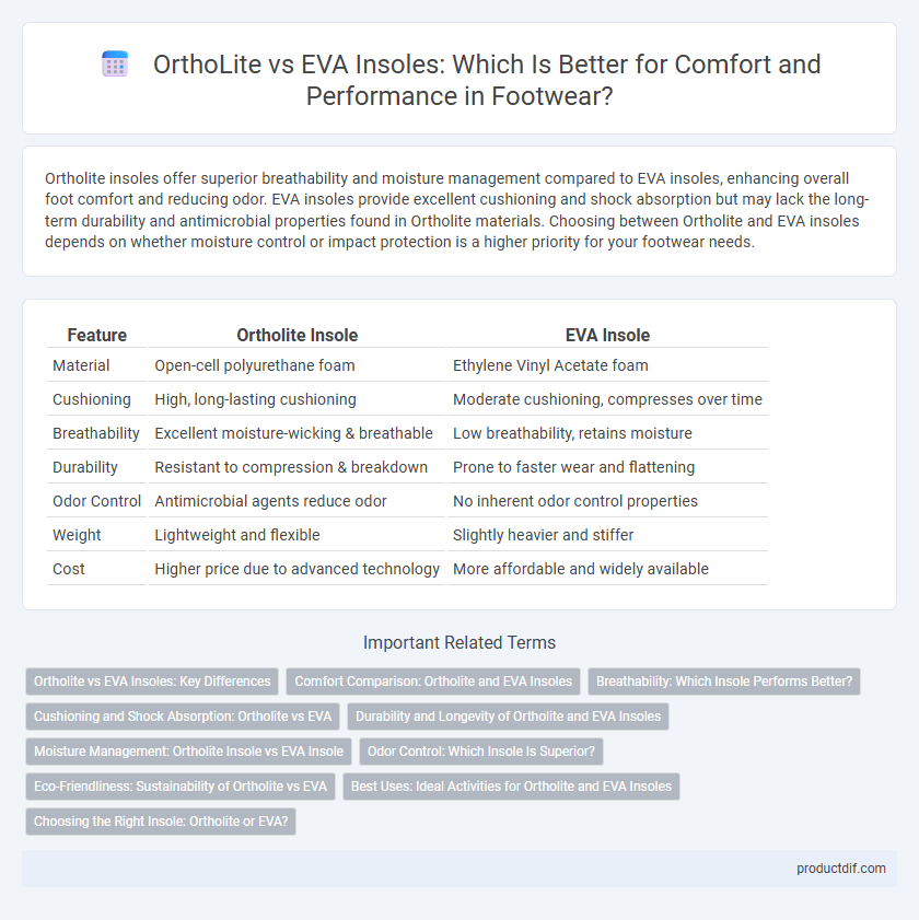 OrthoLite vs EVA Insoles: Which Is Better for Comfort and Performance in Footwear?