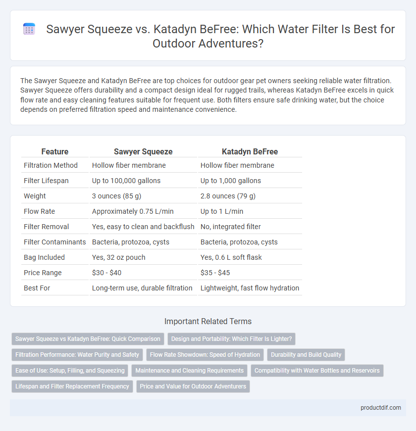 Sawyer Squeeze vs. Katadyn BeFree: Which Water Filter Is Best for Outdoor Adventures?