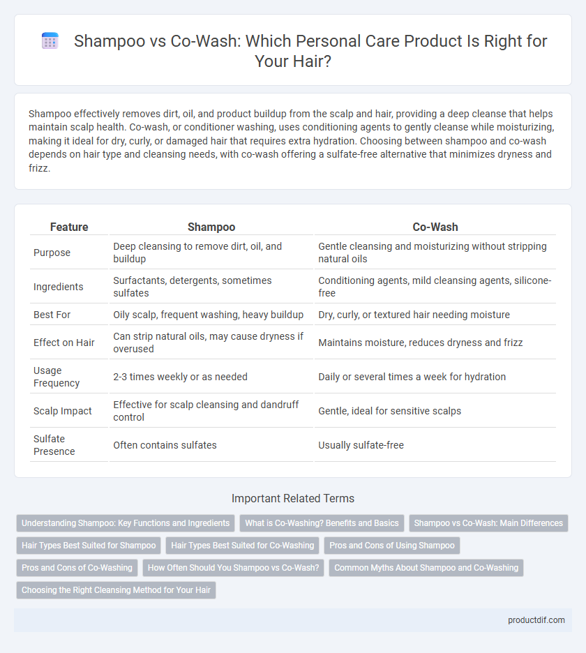 Shampoo vs Co-Wash: Which Personal Care Product Is Right for Your Hair?