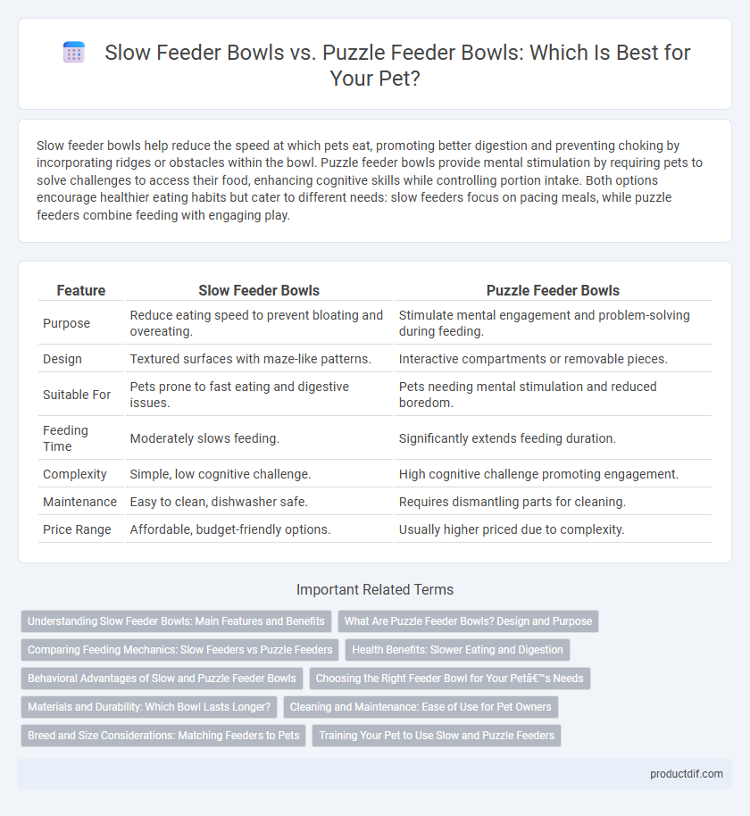 Slow Feeder Bowls vs. Puzzle Feeder Bowls: Which Is Best for Your Pet?