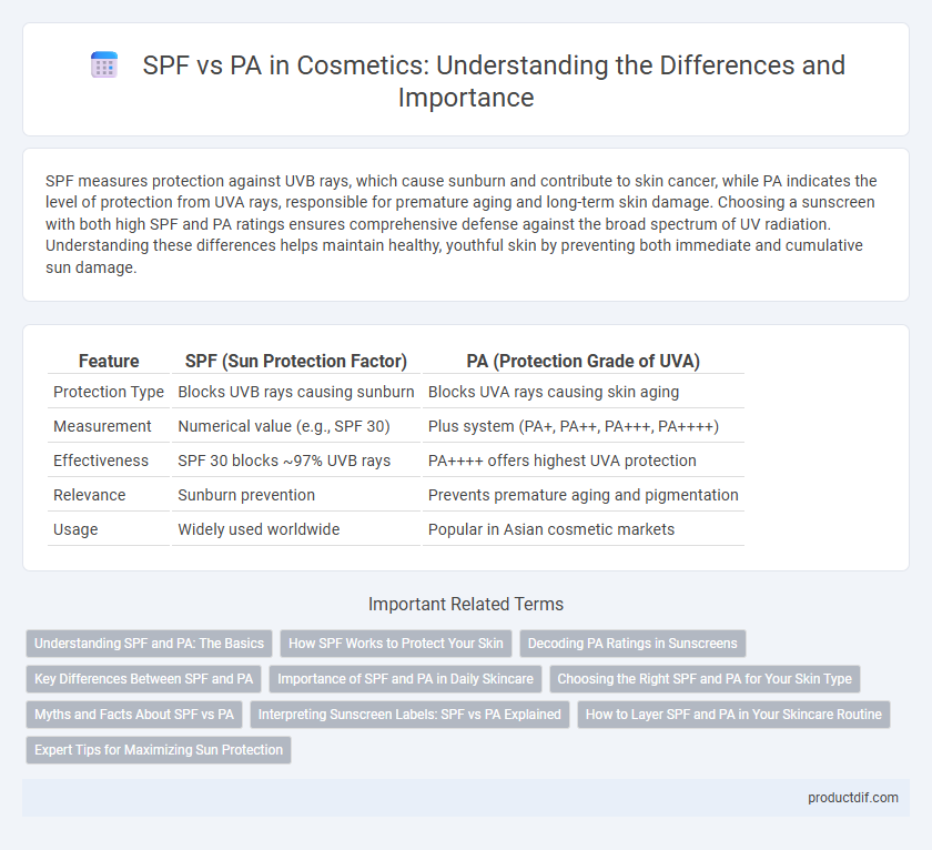 SPF vs PA in Cosmetics: Understanding the Differences and Importance
