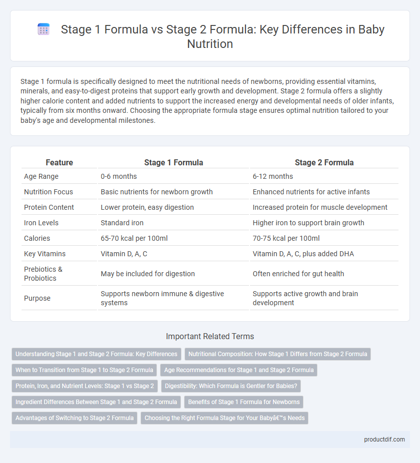 Stage 1 Formula vs Stage 2 Formula: Key Differences in Baby Nutrition