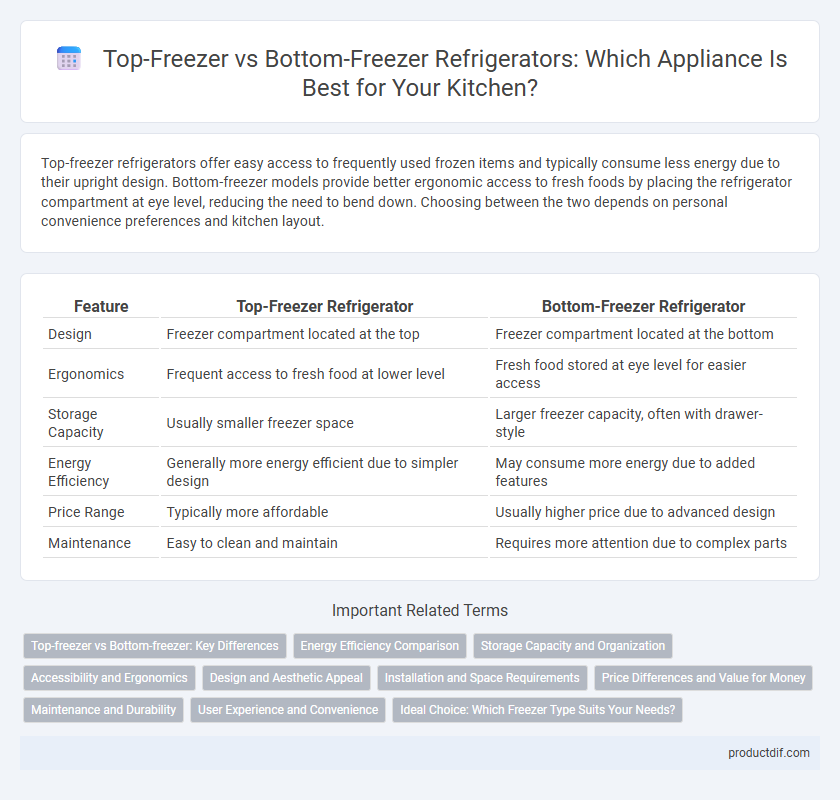 Top-Freezer vs Bottom-Freezer Refrigerators: Which Appliance Is Best for Your Kitchen?