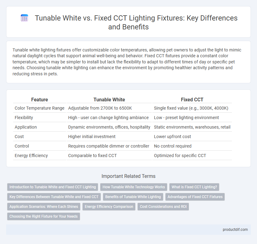 Tunable White vs. Fixed CCT Lighting Fixtures: Key Differences and Benefits