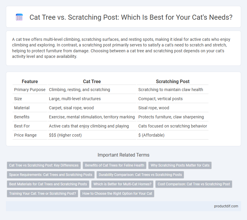 Cat Tree vs. Scratching Post: Which Is Best for Your Cat's Needs?