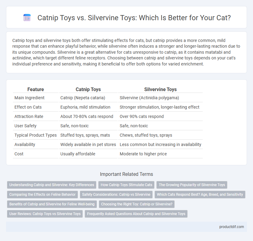 Catnip Toys vs. Silvervine Toys: Which Is Better for Your Cat?