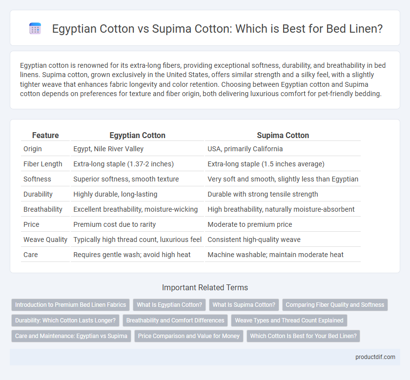 Egyptian Cotton vs Supima Cotton: Which is Best for Bed Linen?