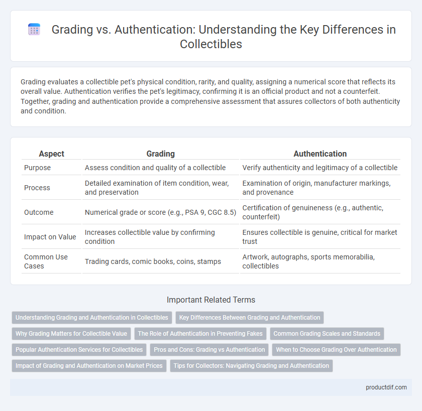 Grading vs. Authentication: Understanding the Key Differences in Collectibles