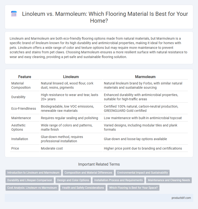 Linoleum vs. Marmoleum: Which Flooring Material Is Best for Your Home?