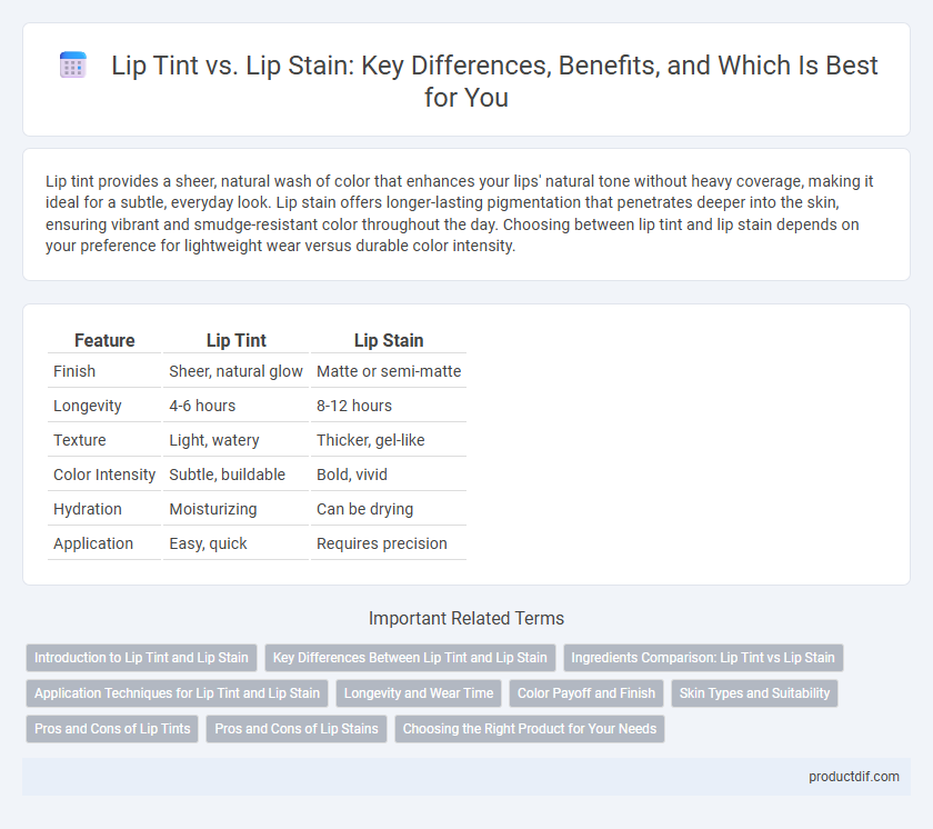 Lip Tint vs. Lip Stain: Key Differences, Benefits, and Which Is Best for You