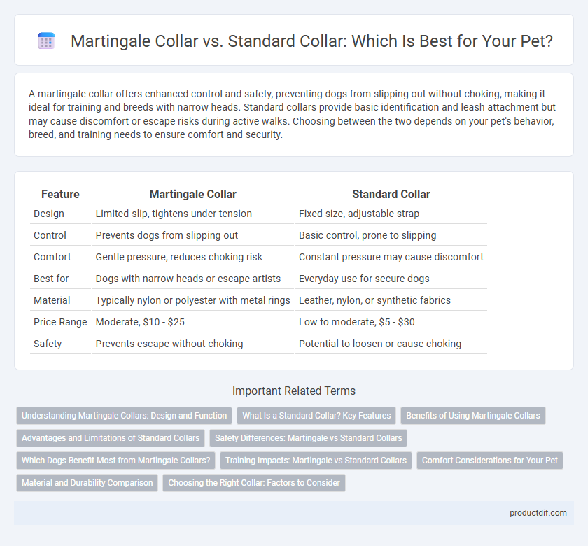 Martingale Collar vs. Standard Collar: Which Is Best for Your Pet?